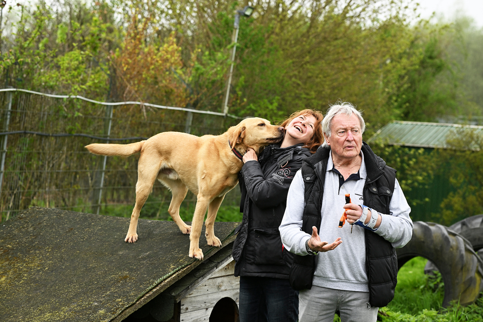 Große Liebe für verlassene Tiere