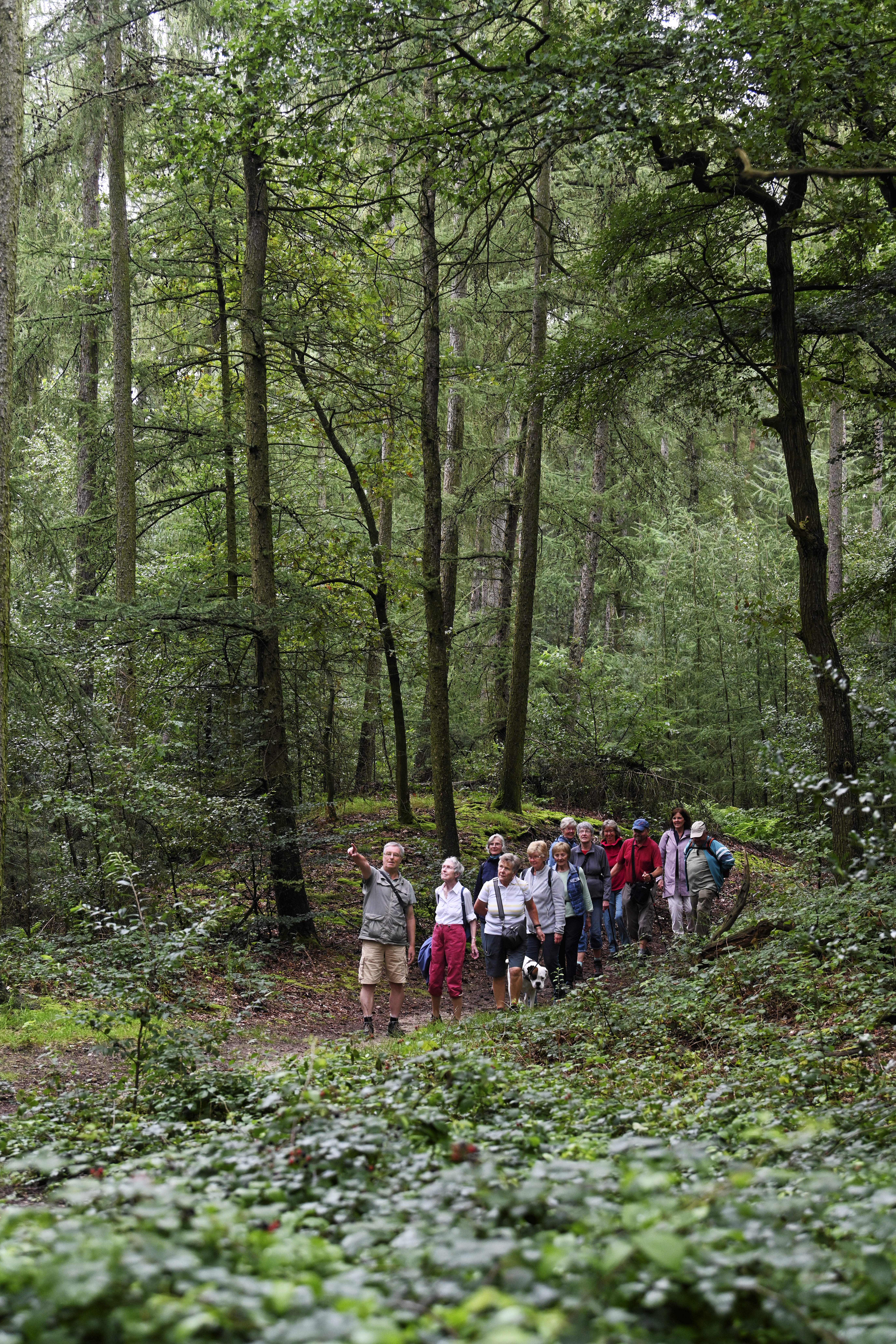 Schritte in der Natur