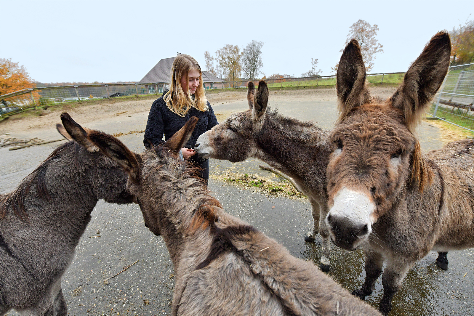 Langsamkeit als Abenteuer