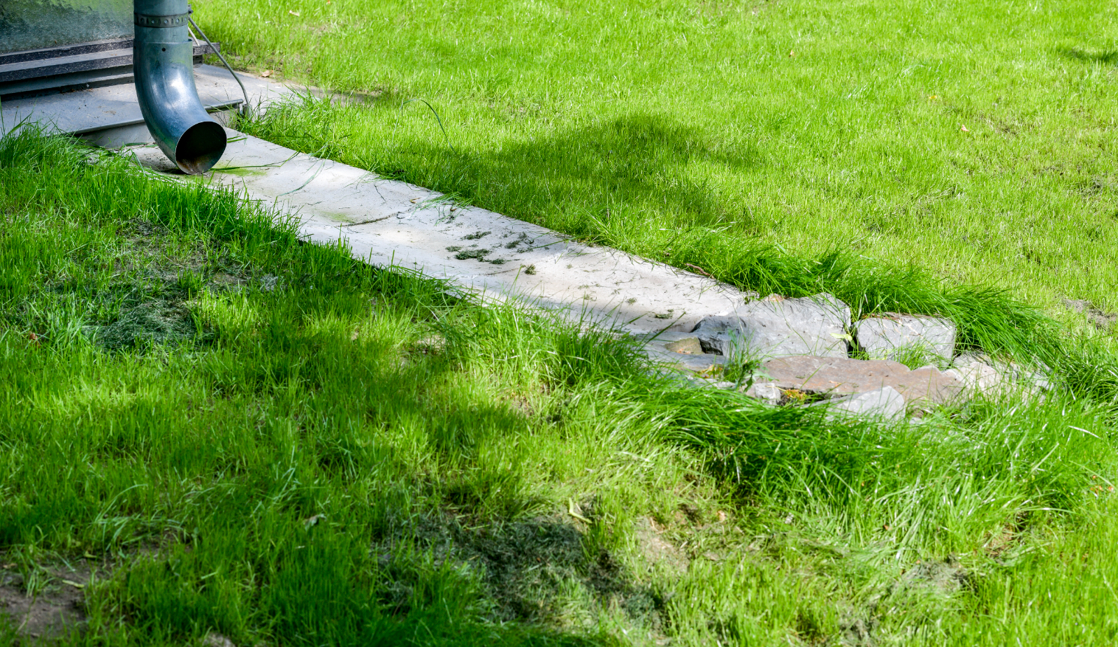 Schwammstadt in der Praxis: Fortbildung für Fachleute