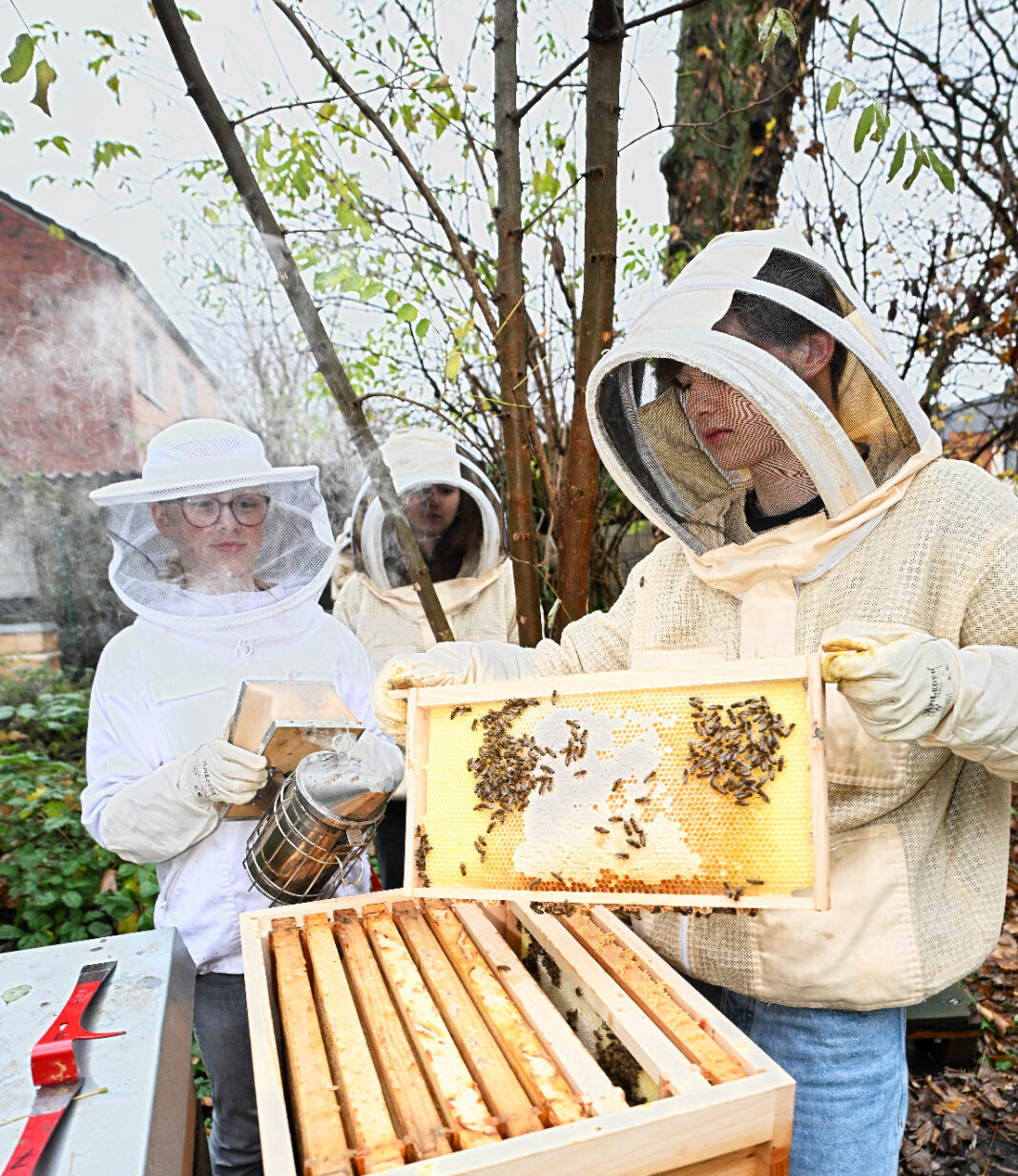 Softskills für die Arbeitswelt