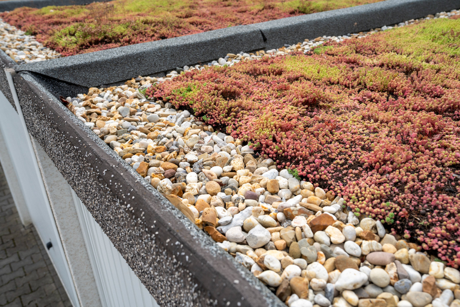 Dachbegrüner-Saison startet