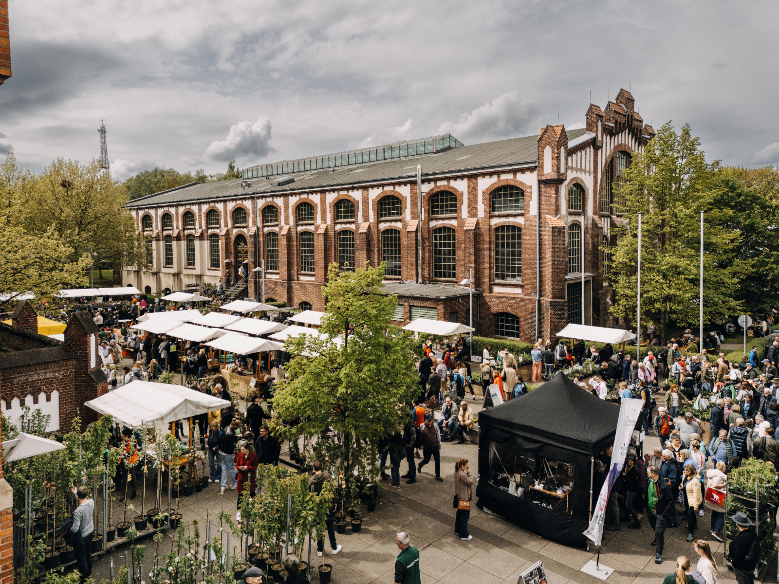 Blühendes Jubiläum auf der Zeche Waltrop