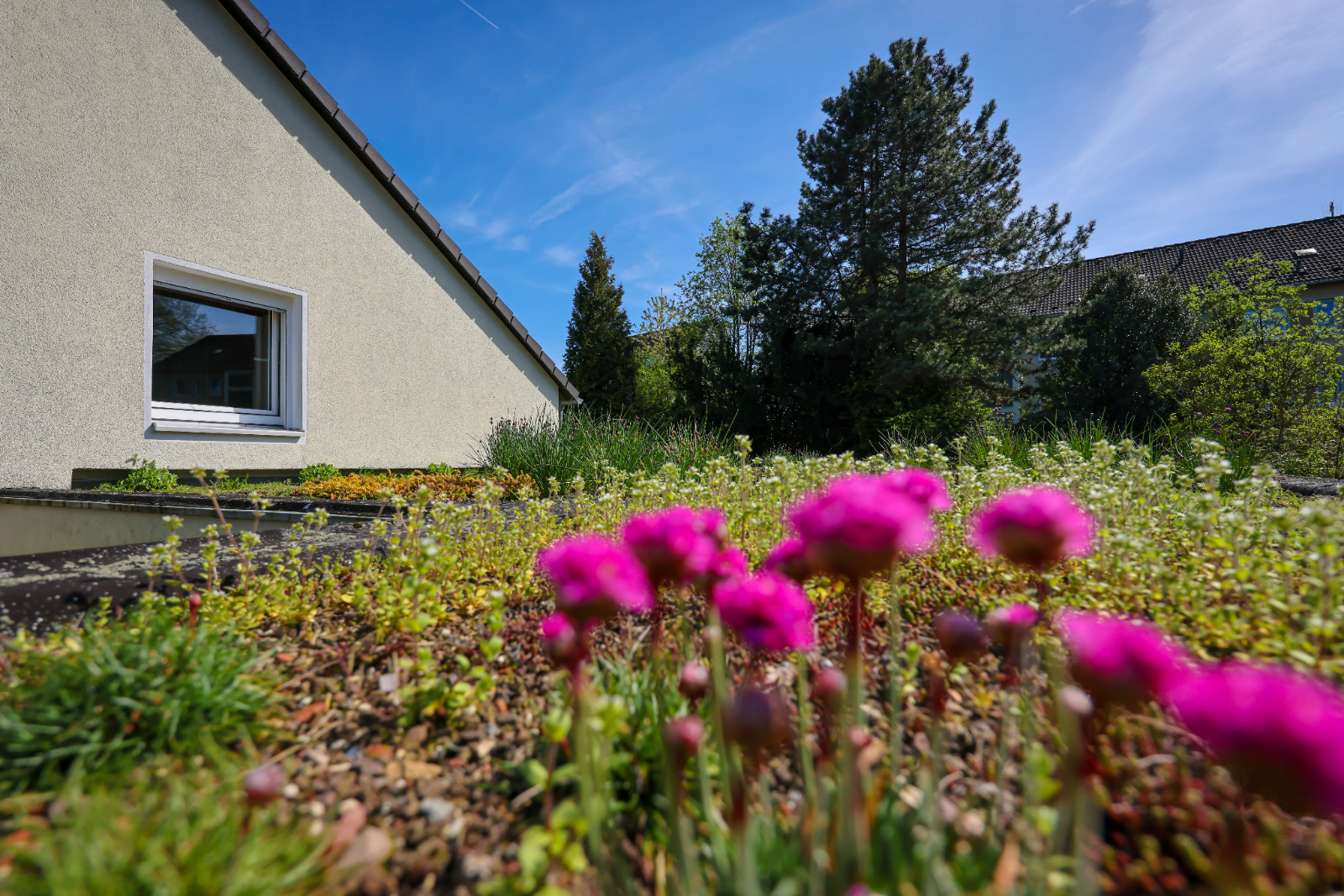 Das eigene Haus fit für den Klimawandel machen