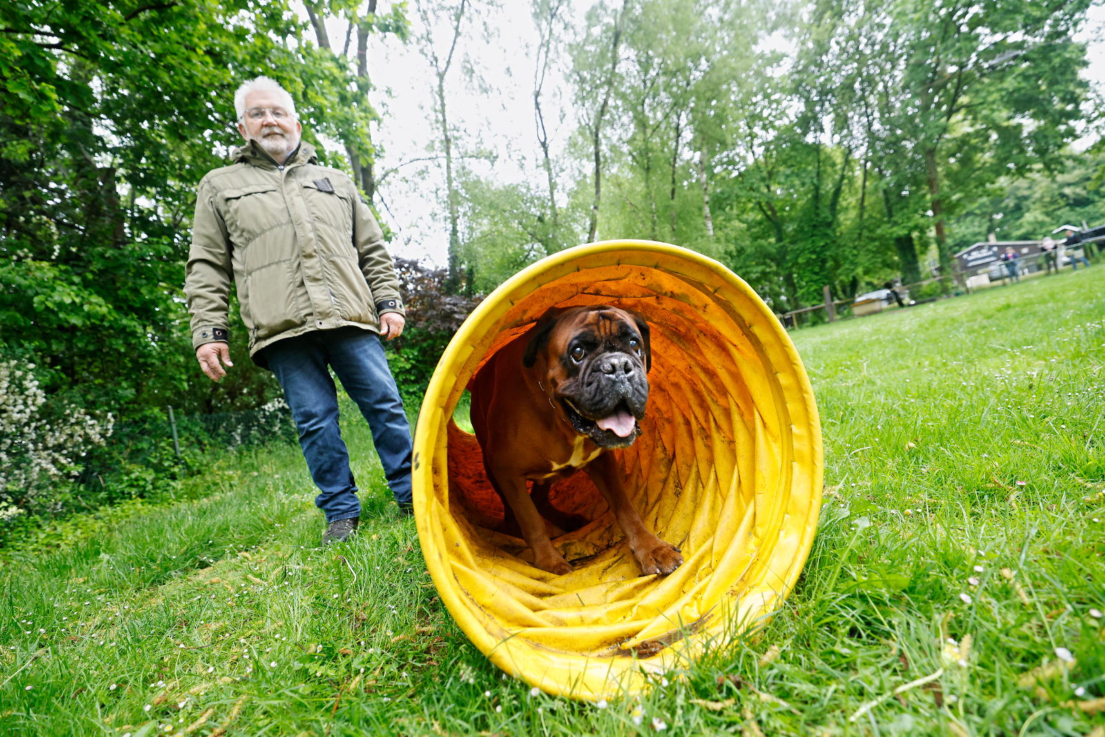 Knigge für Hunde