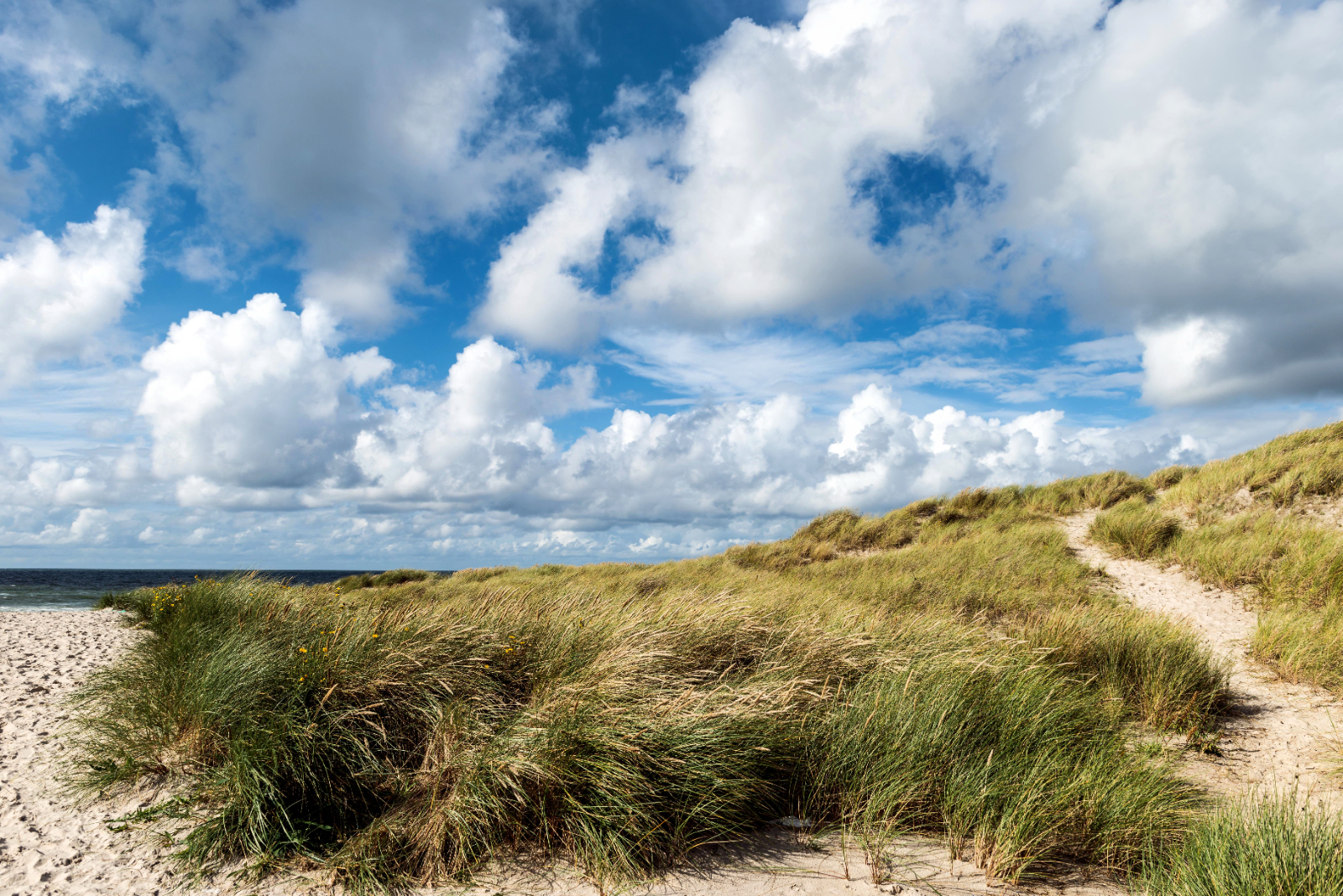 Frieden im Sand